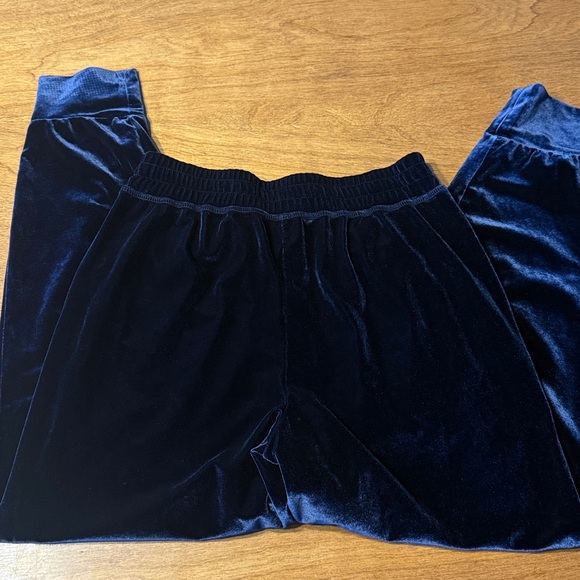 Fabletics Navy Blue Daria Velvet Joggers - Picture 7 of 12